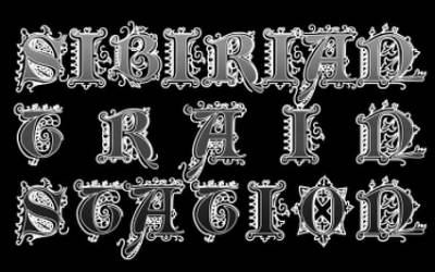 logo Sibirian Trainstation